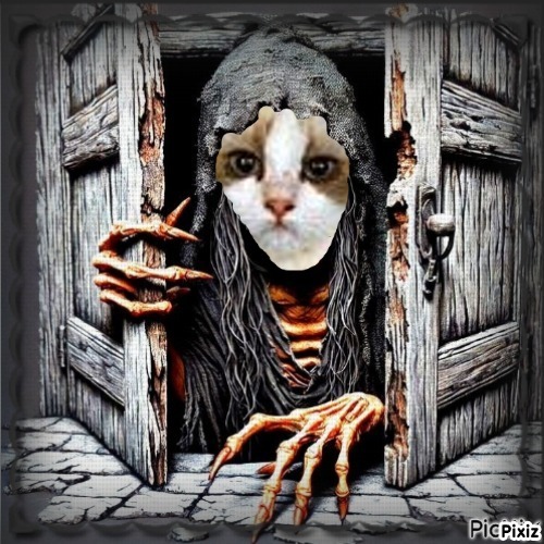 Quendolin Sundance of the Ada family