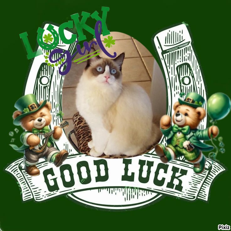 Quendolin Sundance of the Ada family