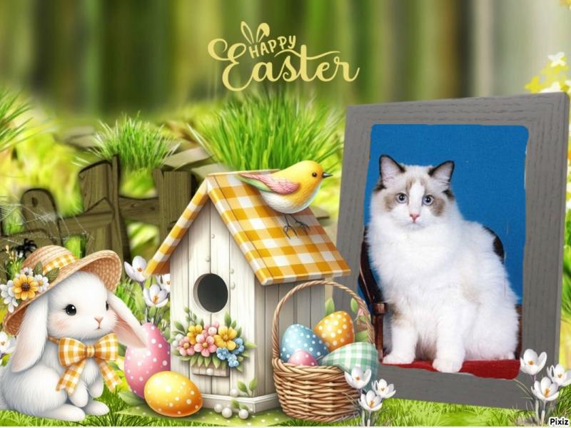 Quendolin Sundance of the Ada family