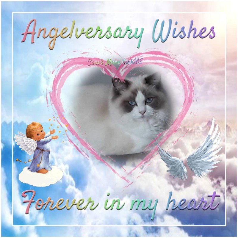 Quendolin Sundance of the Ada family