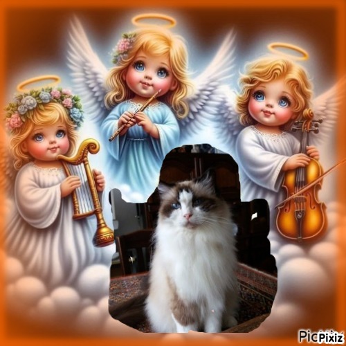 Quendolin Sundance of the Ada family