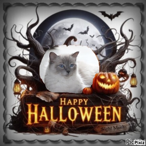 Calleigh of the Ada family