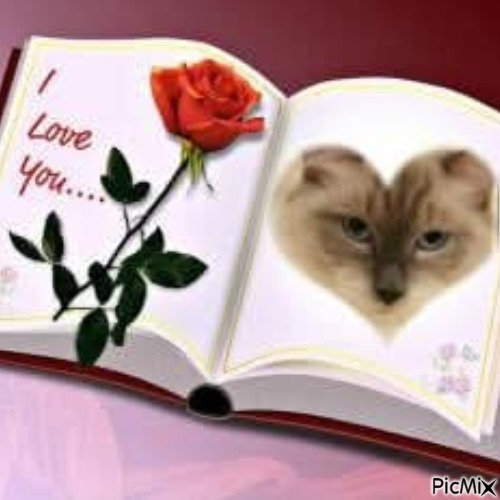 Calleigh of the Ada family