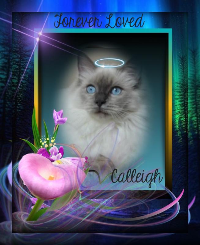 Calleigh of the Ada family