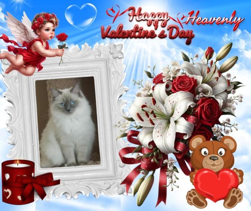 Calleigh of the Ada family