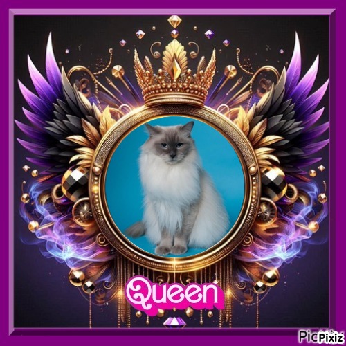 Calleigh of the Ada family