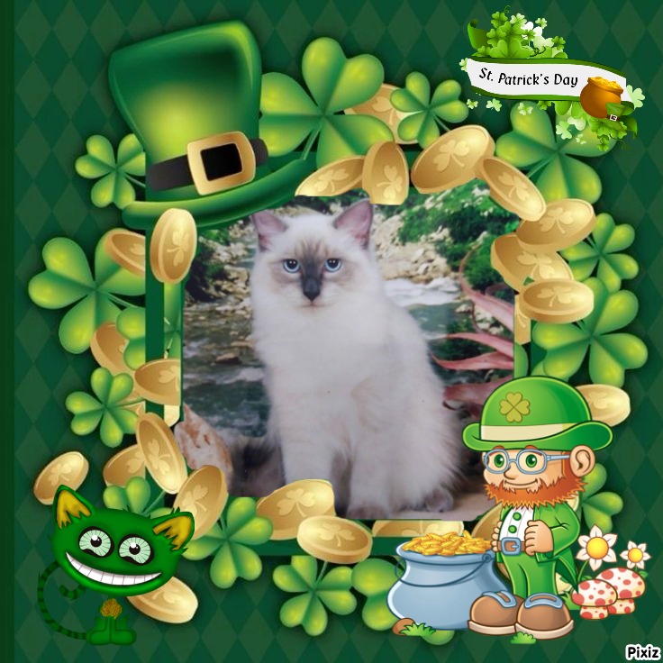 Calleigh of the Ada family