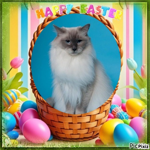 Calleigh of the Ada family