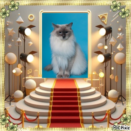 Calleigh of the Ada family