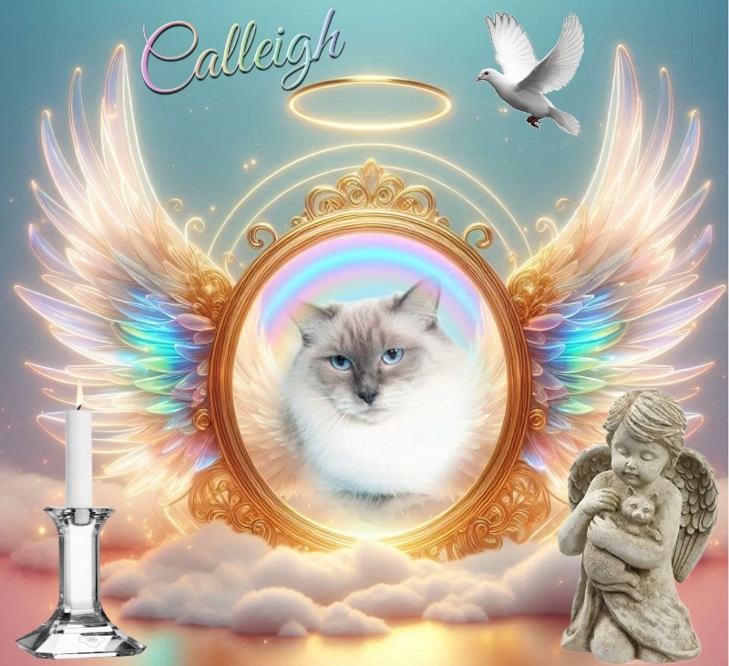 Ada uploaded   72  day/s  ago