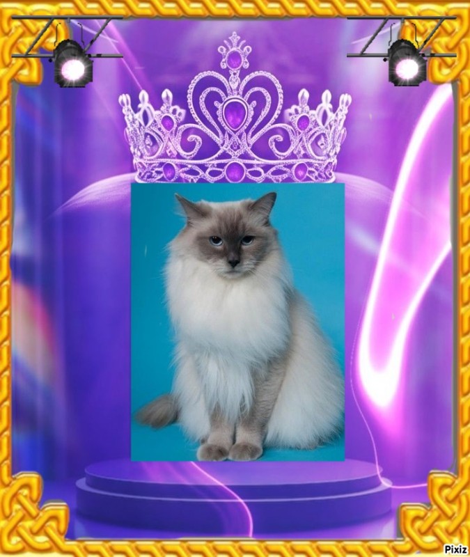 Calleigh of the Ada family