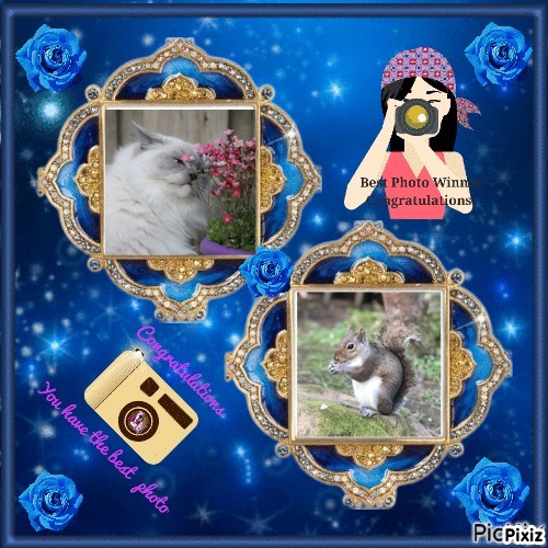 Calleigh of the Ada family