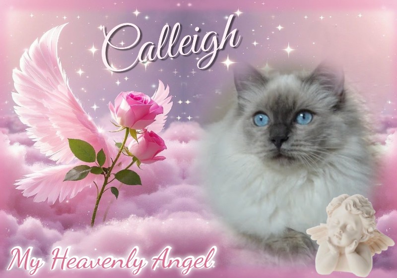 Ada uploaded   72  day/s  ago