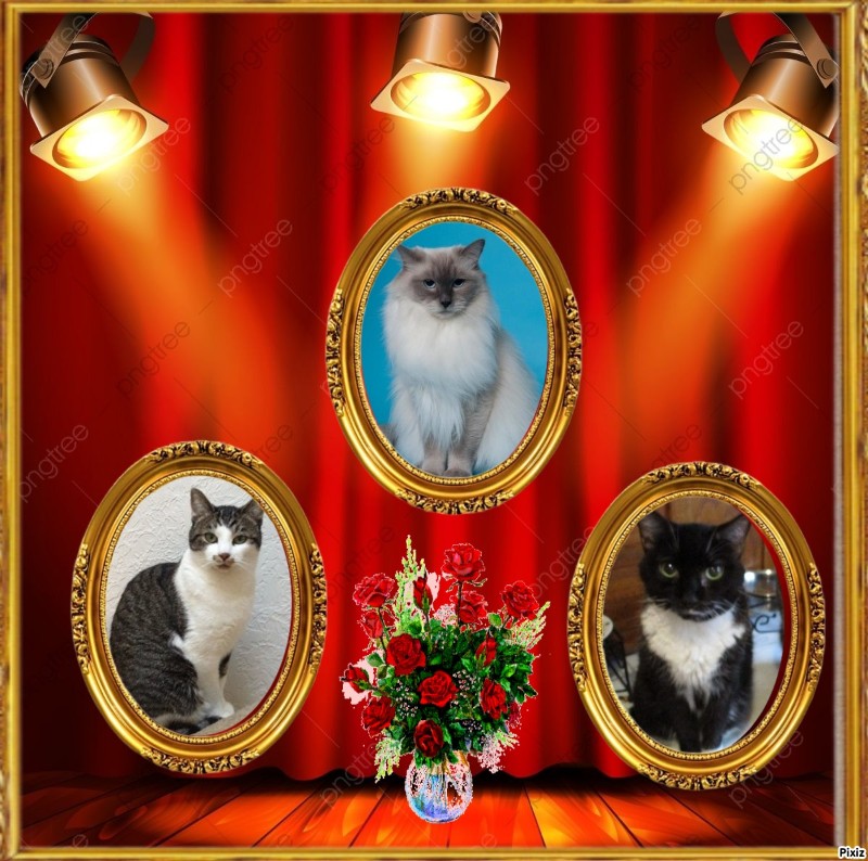 Calleigh of the Ada family