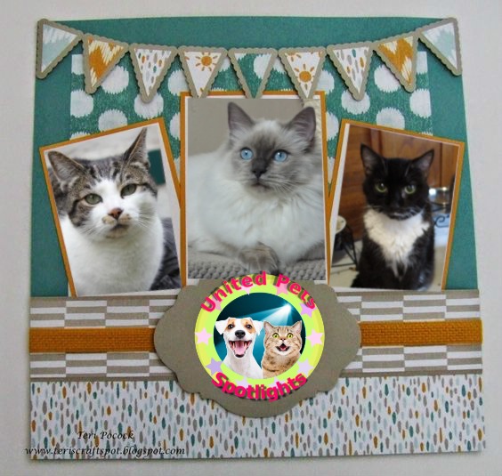 Ada uploaded   15  day/s  ago