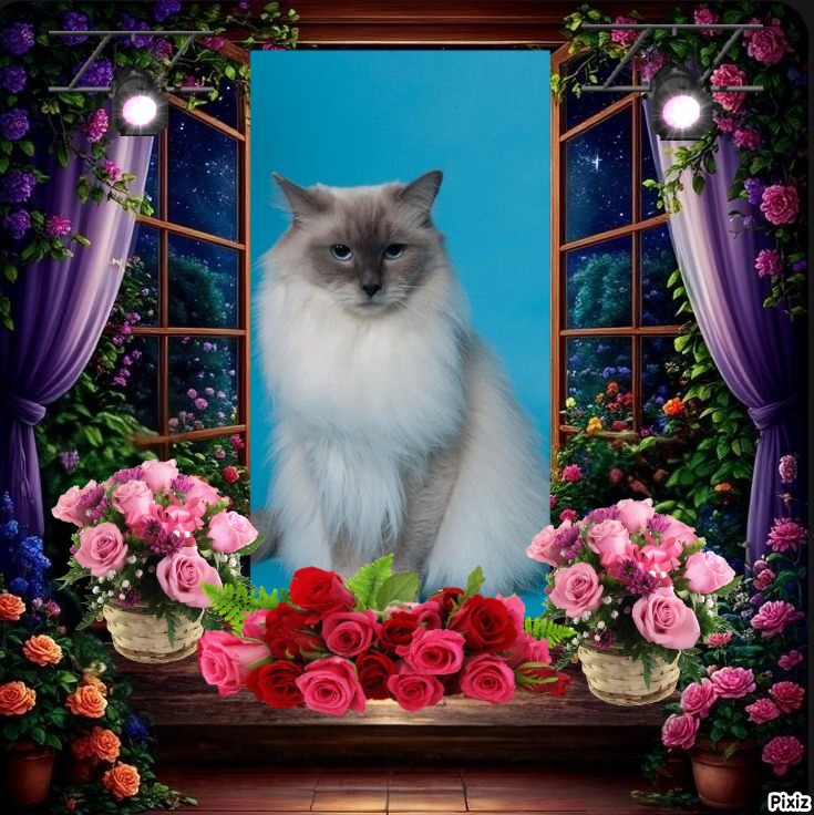 Calleigh of the Ada family