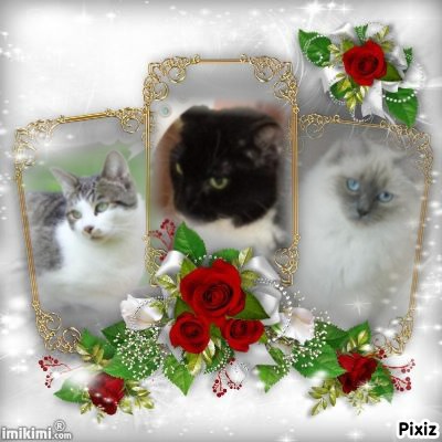 Ada uploaded   15  day/s  ago