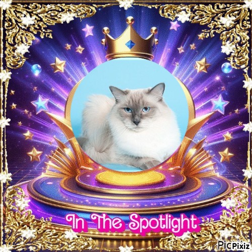 Calleigh of the Ada family