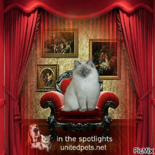 Calleigh of the Ada family