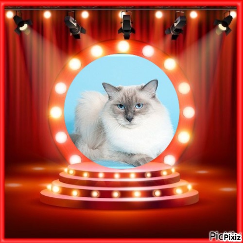 Calleigh of the Ada family