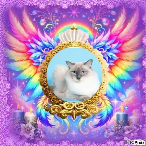 Calleigh of the Ada family