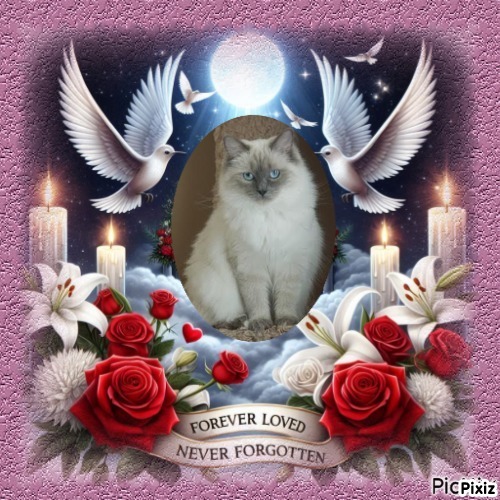 Calleigh of the Ada family