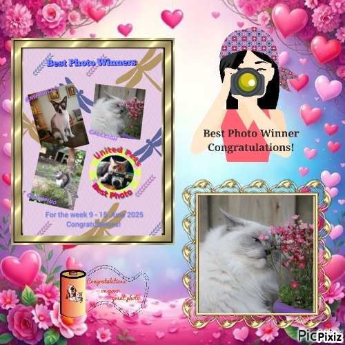 Calleigh of the Ada family