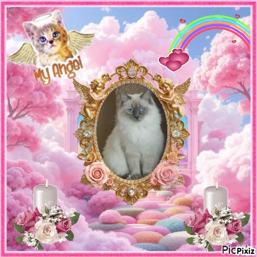 Calleigh of the Ada family