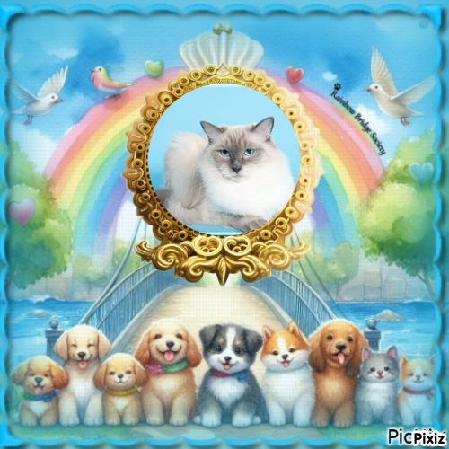 Calleigh of the Ada family