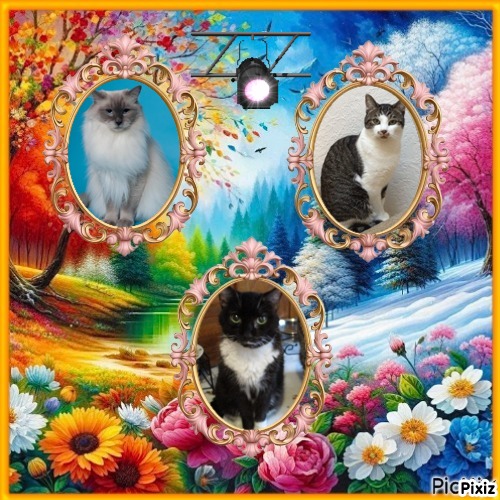 Calleigh of the Ada family