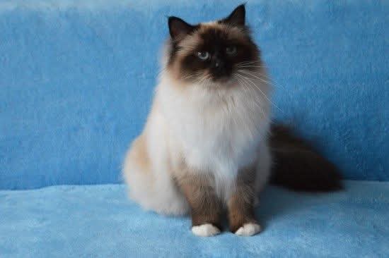 Ada uploaded   364  day/s  ago