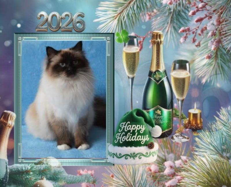 Macy of the Ada family