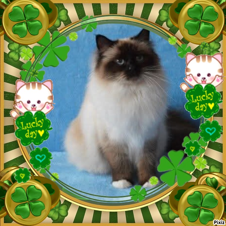 Macy of the Ada family