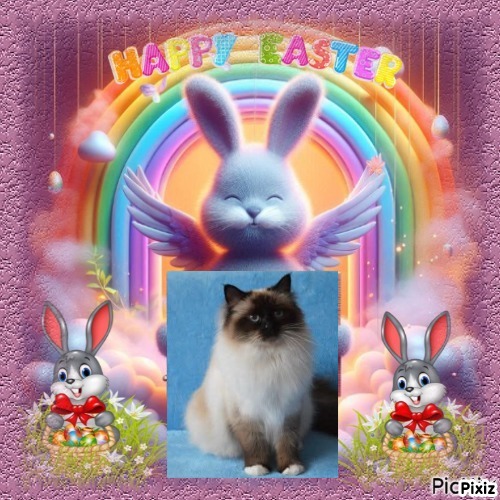 Macy of the Ada family