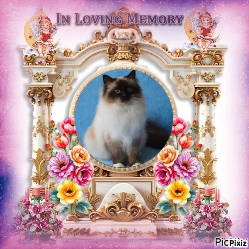 Macy of the Ada family