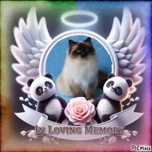 Macy of the Ada family