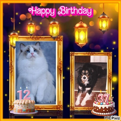 Ada uploaded   232  day/s  ago