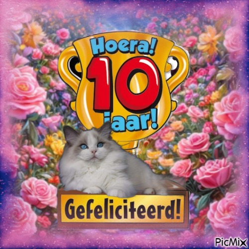 Ada uploaded   232  day/s  ago