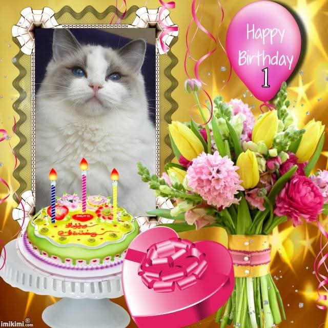 Ada uploaded   232  day/s  ago