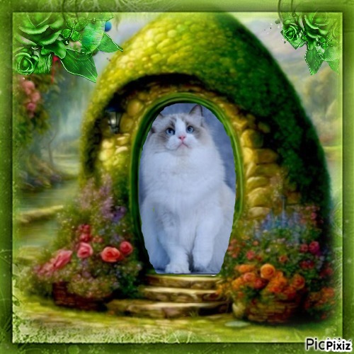 Minoru Roane of the Ada family