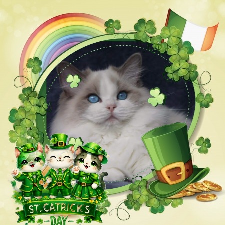 Minoru Roane of the Ada family