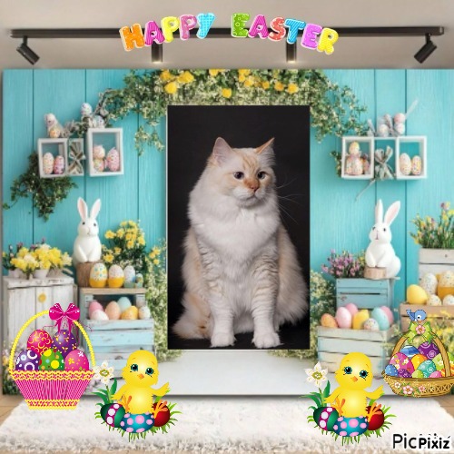 Minoru Roane of the Ada family