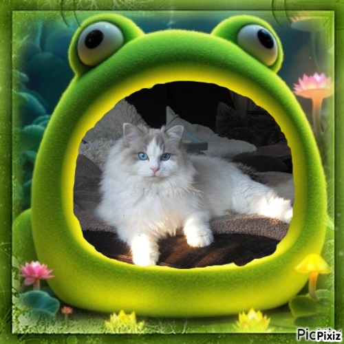 Minoru Roane of the Ada family