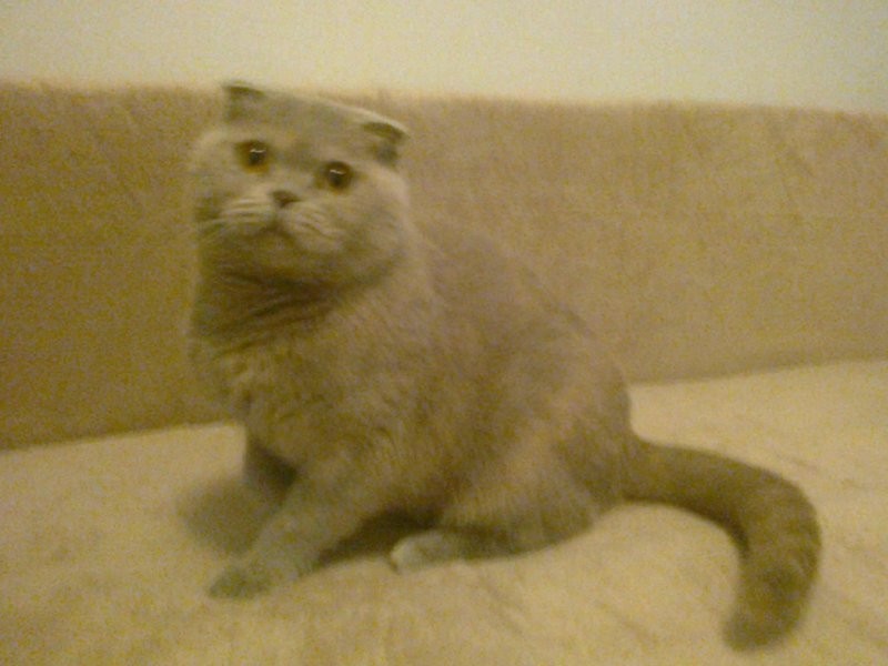 Minoru Roane of the Ada family