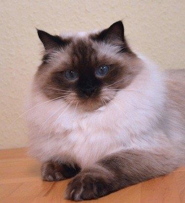 Ada uploaded   87  day/s  ago