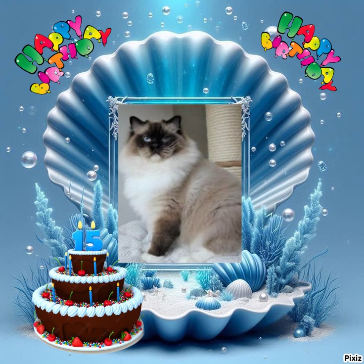 Maudie-royal of the Ada family