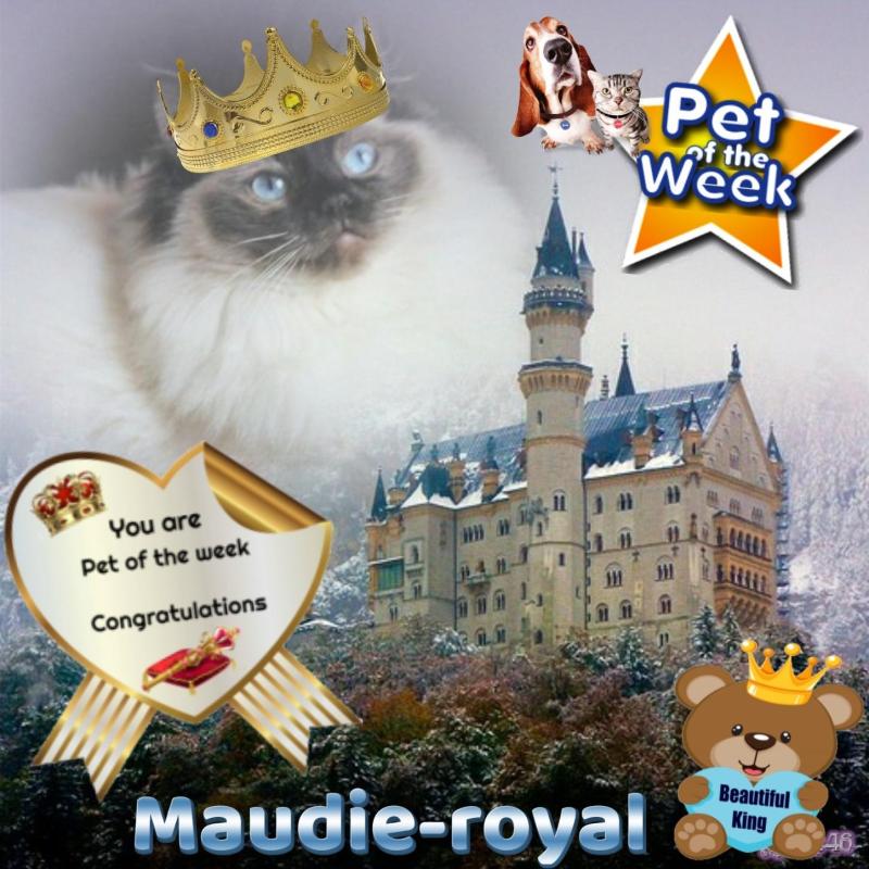 Ada uploaded   92  day/s  ago