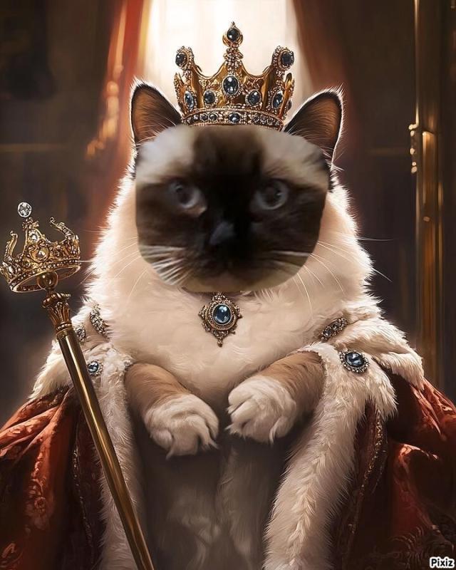 Ada uploaded   90  day/s  ago