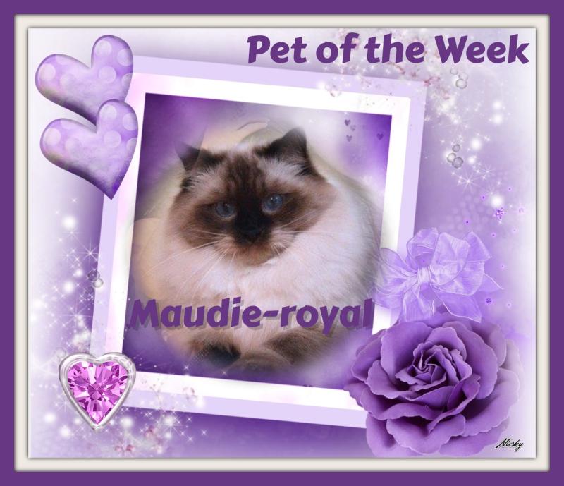 Ada uploaded   88  day/s  ago