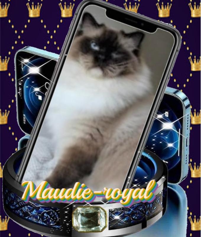 Ada uploaded   86  day/s  ago